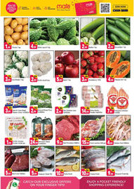 Shaklan leaflet Page 2