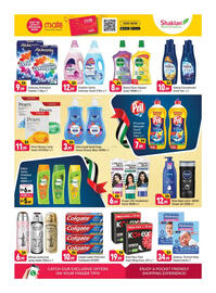 Shaklan leaflet Page 10