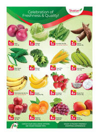 Shaklan leaflet Page 2