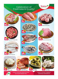 Shaklan leaflet Page 3