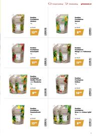 Eurogast Grissemann Flugblatt Seite 13