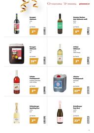 Eurogast Grissemann Flugblatt Seite 19