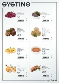 Eurogast Grissemann Flugblatt Seite 7