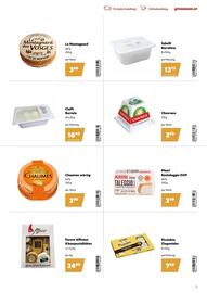 Eurogast Grissemann Flugblatt Seite 9