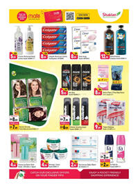 Shaklan leaflet Page 11