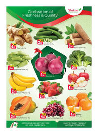 Shaklan leaflet Page 2