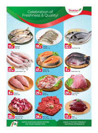 Shaklan leaflet Page 3