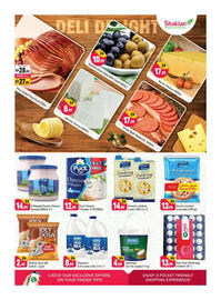 Shaklan leaflet Page 4