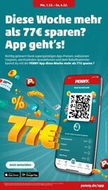 PENNY Prospekt woche 49 Seite 15