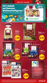 PENNY Prospekt woche 49 Seite 17