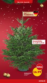 PENNY Prospekt woche 49 Seite 31