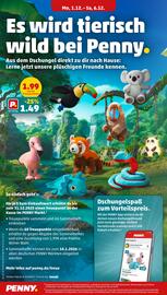 PENNY Prospekt woche 49 Seite 32