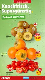 PENNY Prospekt woche 49 Seite 4