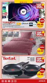 PENNY Prospekt woche 49 Seite 43