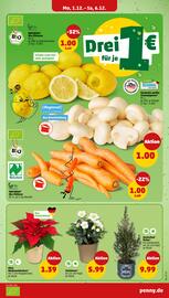 PENNY Prospekt woche 49 Seite 5