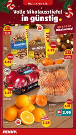PENNY Prospekt woche 49 Seite 6