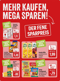 Feneberg Prospekt Seite 10