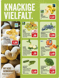 Feneberg Prospekt Seite 5