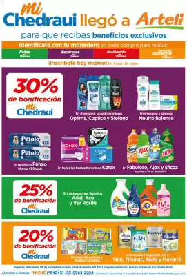 Folleto Arteli (válido hasta 2-12)