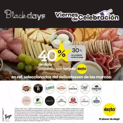 Catálogo Éxito (válido hasta 30-11)