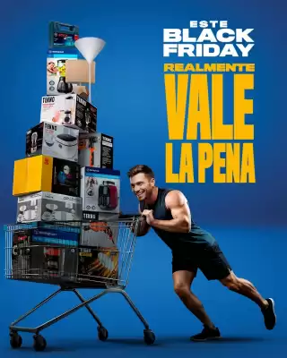 Catálogo Ferrisariato (válido hasta 1-12)