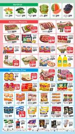 Folheto Panelão Página 2