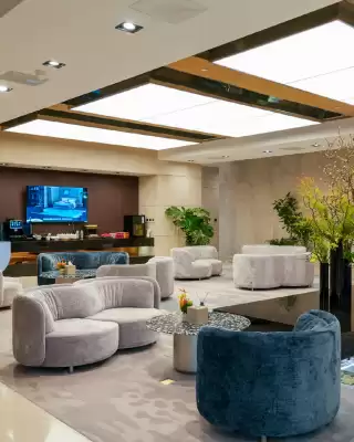 Folleto Natuzzi (válido hasta el 11-12)