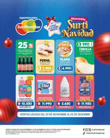 Catálogo Surtifamiliar Página 3