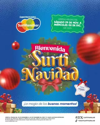 Catálogo Surtifamiliar (válido hasta 3-12)