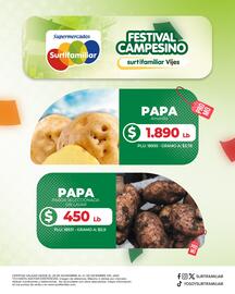 Catálogo Surtifamiliar Página 2