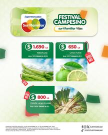 Catálogo Surtifamiliar Página 4