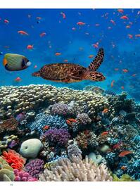 Volantino Alpitour Pagina 86