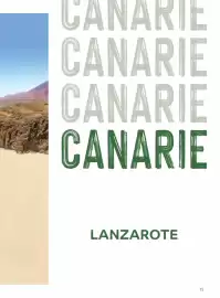 Volantino Alpitour Pagina 75