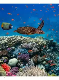 Volantino Alpitour Pagina 86