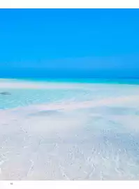 Volantino Alpitour Pagina 96