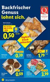 Lidl Flugblatt woche 49 Seite 11