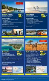 Lidl Flugblatt woche 49 Seite 35