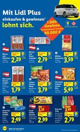 Lidl Flugblatt woche 49 Seite 45