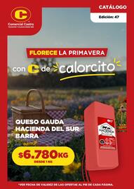 Catálogo Comercial Castro Página 1