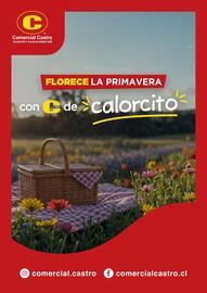 Catálogo Comercial Castro Página 21