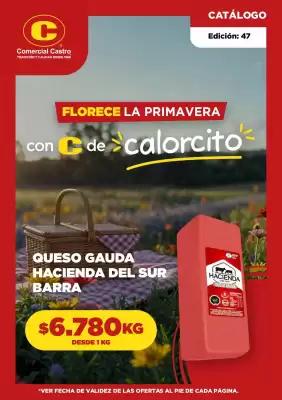 Catálogo Comercial Castro (válido hasta 30-11)