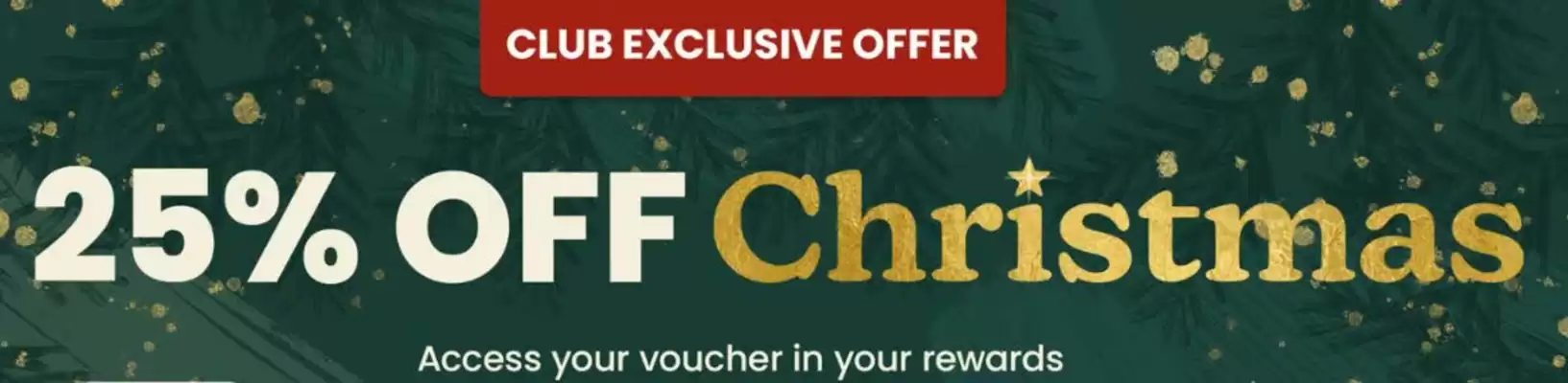 Hobbycraft catalogue (valid until 31-12)