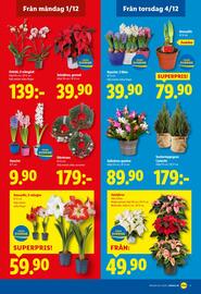 Lidl reklamblad vecka 49 Sida 21