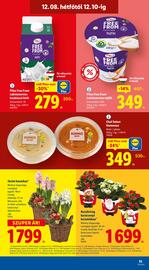 Lidl akciós újság hét 49 Oldal 53