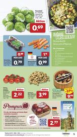 Famila Nord West Prospekt woche 49 Seite 5