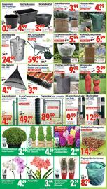 Wreesmann Prospekt woche 49 Seite 17