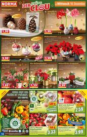 Norma Prospekt woche 50 Seite 14