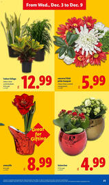 Lidl weekly ad week 49 Page 23