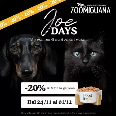 Volantino Zoomiguana (valido fino al 1-12)