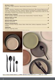 Folleto Ferrcash Página 2